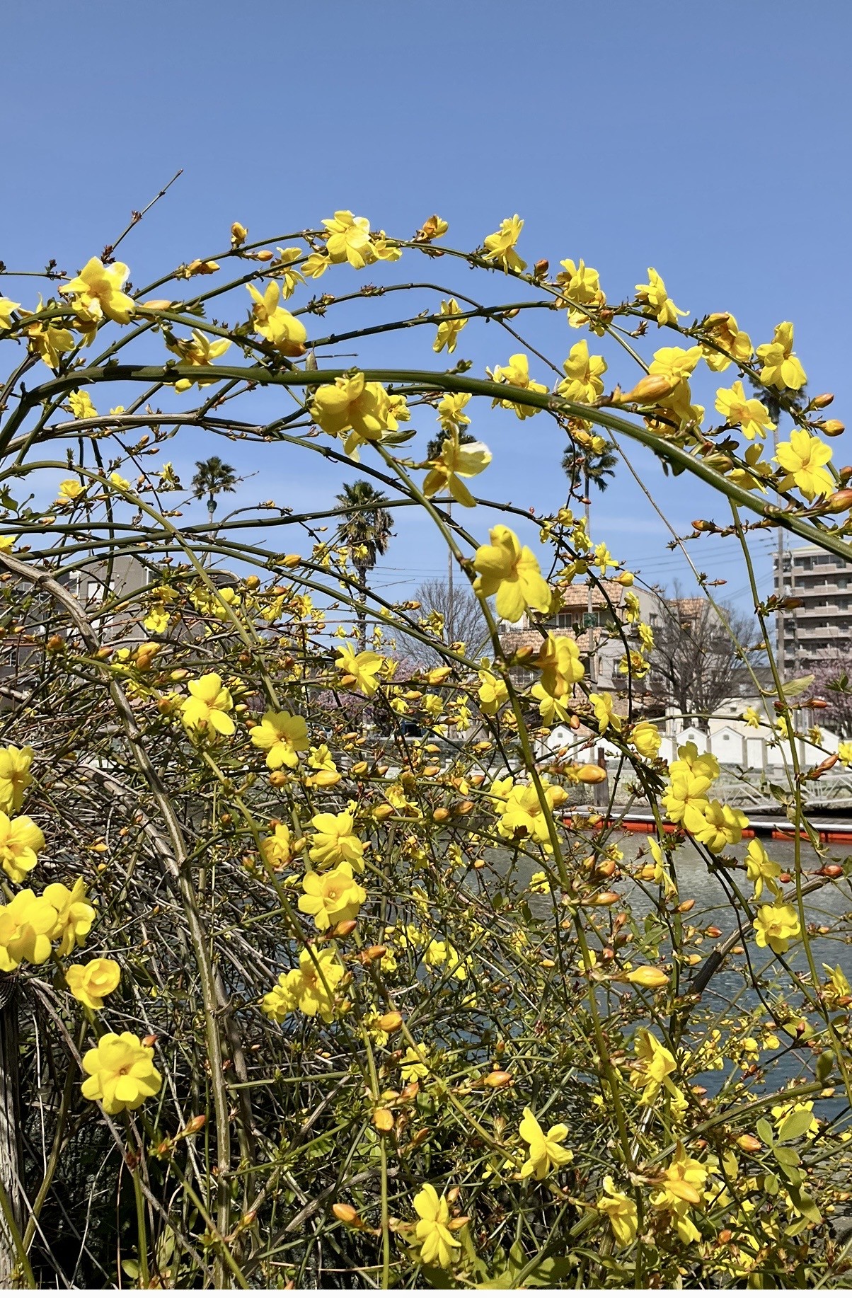 ３月5日　撮影